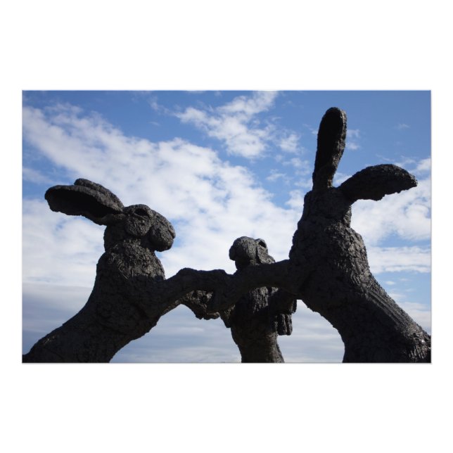 Impression Photo Bunnies dansants, Dublin, Ohio (Devant)