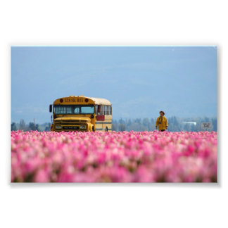 Impression Photo Bus scolaire, Bus magique.