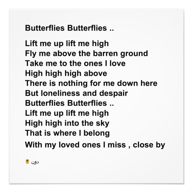 IMPRESSION PHOTO BUTTERFLIES BUTTERFLIES (OPTION 1) (Devant)