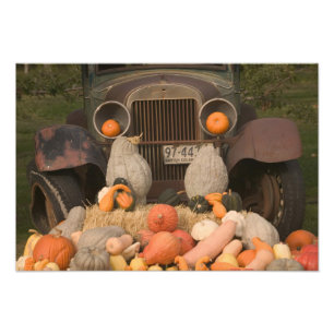 Impression Photo CANADA, Colombie-Britannique, Keremeos. Automne /