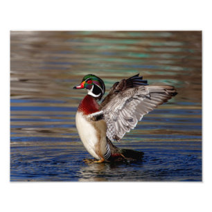 Impression Photo Canard en bois 14x11