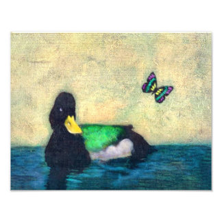 Impression Photo Canard Et Papillon