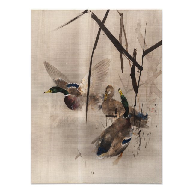 Impression Photo Canards sur l'eau Japonais Art de la sauvagine pei (Devant)