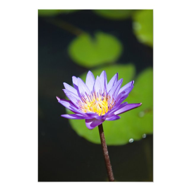 Impression Photo Cancun, Mexique (Devant)