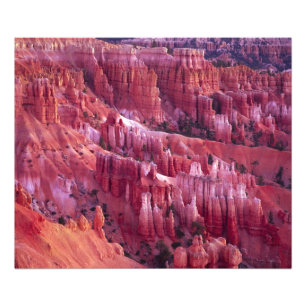 Impression Photo Canyon Bryce, Utah, États-Unis