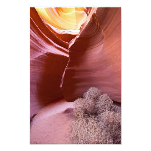 Impression Photo Canyon de nombreuses couleurs