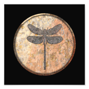 Impression Photo Canyons Dragonfly Talking, Nouveau-Mexique