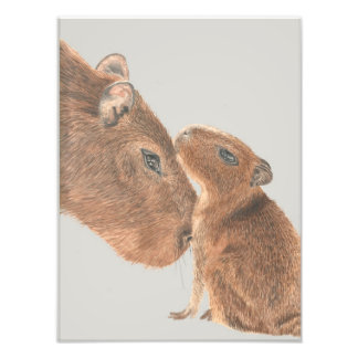 Impression Photo Capybara