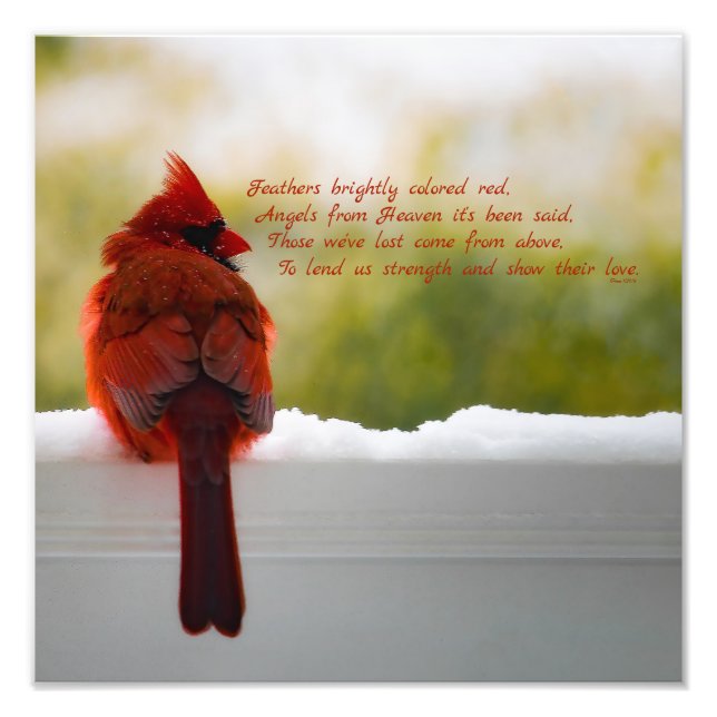 Impression Photo Cardinal avec Visiteur du Ciel poème 12x12 (Devant)