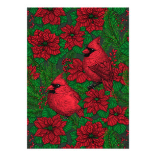 Impression Photo Cardinaux et poinsettia pour Noël