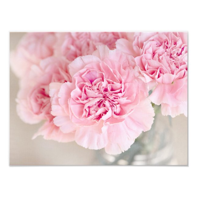 Impression Photo Carnations roses (Devant)