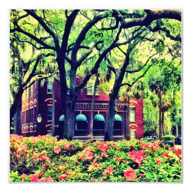 Impression Photo Carré Pulaski, Savannah (Devant)