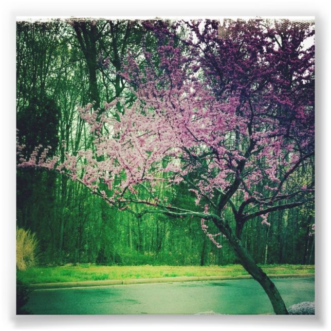 Impression Photo carte de voeux (Devant)