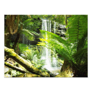 Impression Photo Cascade de la forêt tropicale