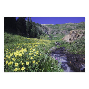 Impression Photo Cascade et fleurs sauvages dans un pré alpin, 2