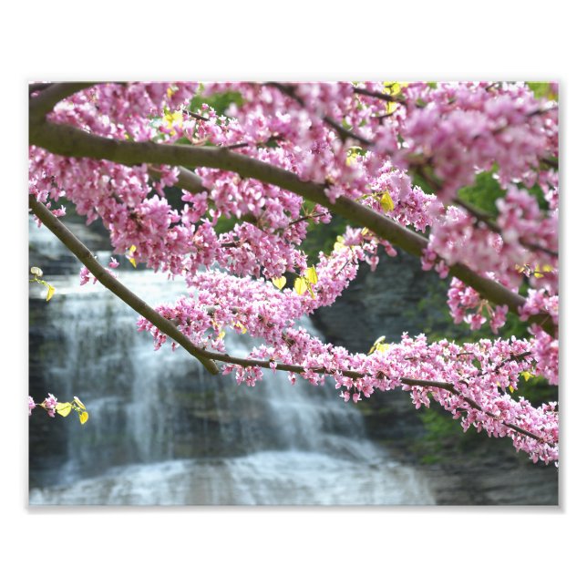 Impression Photo Cascade She-qua-ga 10"x8" (Devant)