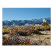 Casper Mountain Seasons - Fall Foliing - Casper WY