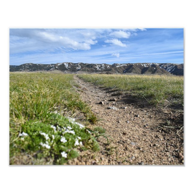 Impression Photo Casper Mountain Seasons - Spring Phlox - Casper WY (Devant)
