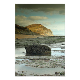 Impression Photo Casquette d'or, Dorset