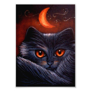 IMPRESSION PHOTO CAT NOIR D'IMAGINAIRE DE HALLOWEEN ET COPIE ORANGE