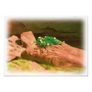 Impression Photo Caverne de datura