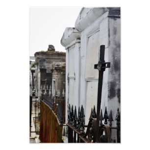 Impression Photo Célébrez la vie