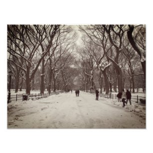 Impression Photo Central Park Mall