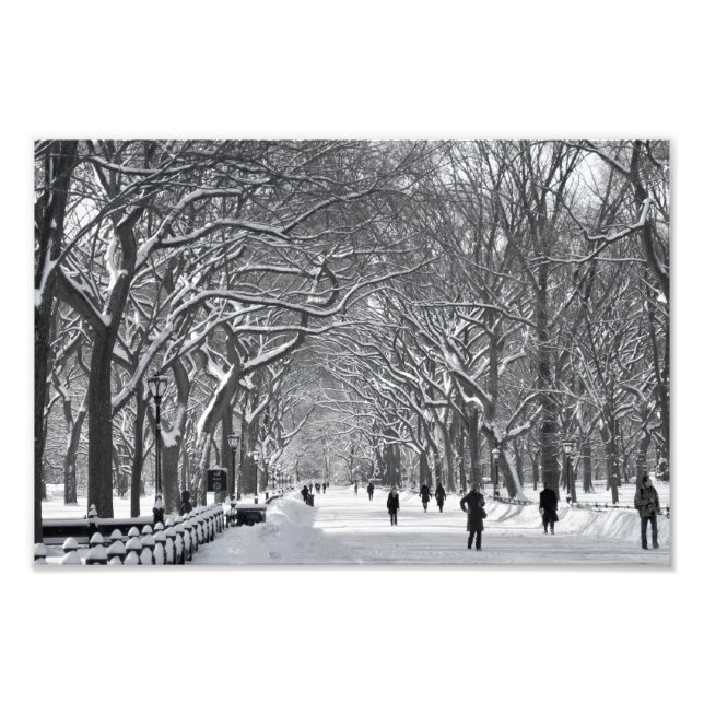Impression Photo Central Park Mall Winter Scene (Devant)