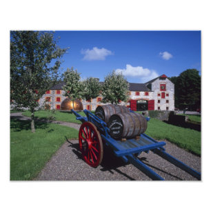 Impression Photo Centre du patrimoine du whisky Jameson, Midleton,
