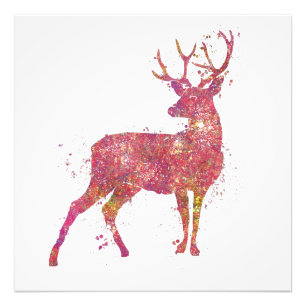 Impression Photo Cerf Animal Forêt Faune Sauvage Nature Monde Terre
