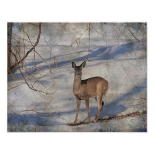 Impression Photo Cerf dans la neige