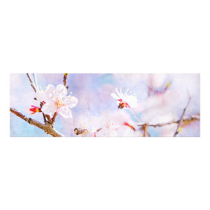Impression Photo Cerisier Japonais - Sakura en Fleurs