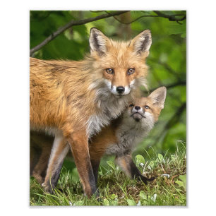 Impression Photo C'est mon père