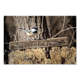 Impression Photo Cet endroit est pour les oiseaux