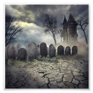 Impression Photo Chambre chassée