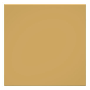 Impression Photo Chameau- teint de brun (couleur solide)