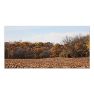 Impression Photo Champ d'automne