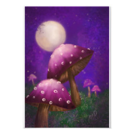 Impression Photo Champignons et clair de lune