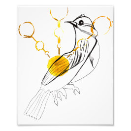 Impression Photo Chansons d'oiseaux Imprimer