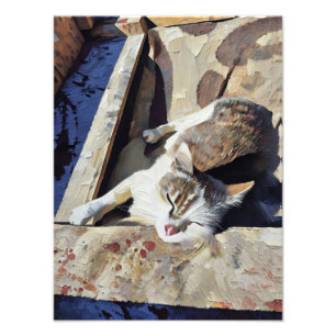 Impression Photo Charming Chat Relaxant à la lumière du soleil