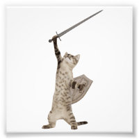 Chat chevalier guerrier héroïque