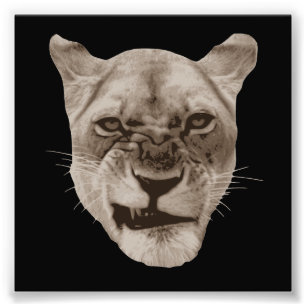 Impression Photo Chat contrarié de lion de grondement