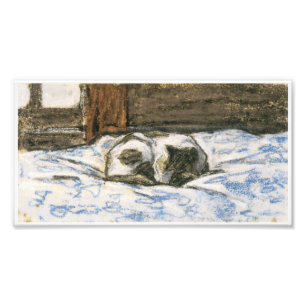 Impression Photo Chat dormir sur un lit à Claude Monet