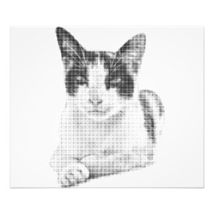 Impression Photo Chat en demi-teinte