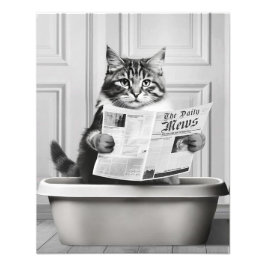 Impression Photo Chat est assis sur la Toilette, chat lire une nouv