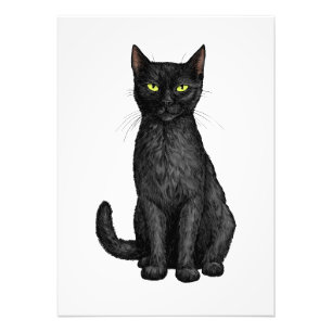 Impression Photo chat noir