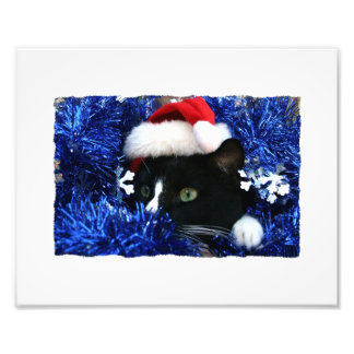 Impression Photo Chat noir, chapeau de Père Noël, moule bleue, prêt