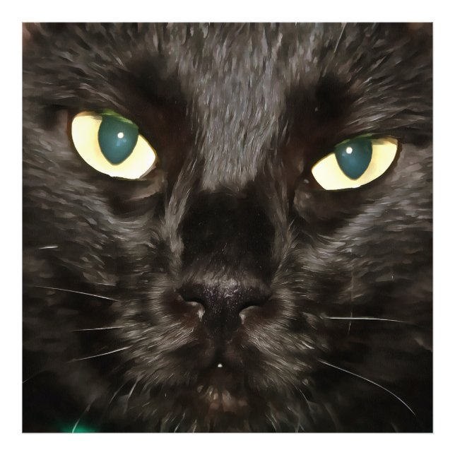 Impression Photo Chat Noir Gorgeous Artistique Portrait pour animal (Devant)
