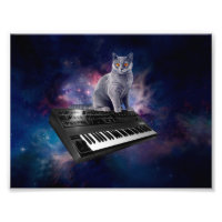 Chat sur synthétiseur dans l'espace