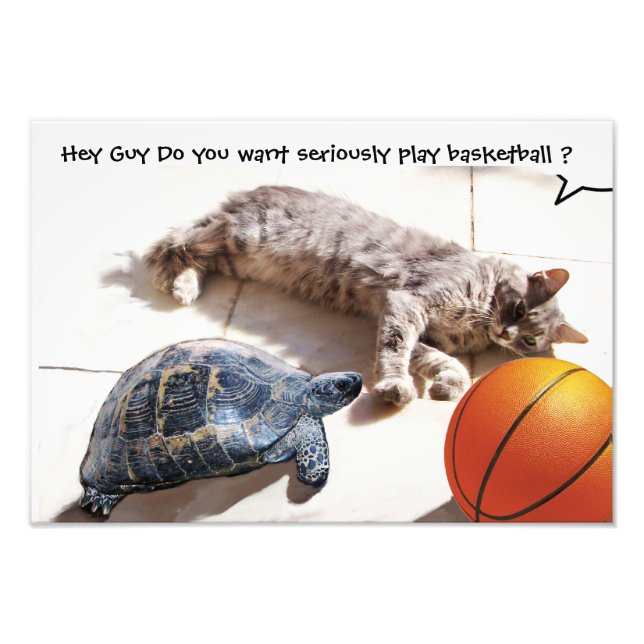 IMPRESSION PHOTO CHAT, TORTUE ET BASKETBALL (Devant)